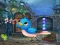 Permainan Singing Bird Escape secara online
