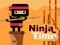 Permainan Ninja Time secara online