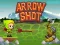 Permainan Arrow Shoot secara online