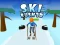 Permainan Ski Rush 3d secara online