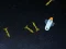 Permainan 5 Minutes in Space secara online