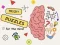 Permainan Brain Puzzles Quests secara online