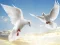 Permainan Flying Birds secara online