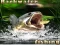 Permainan Backwater Fishing secara online