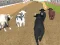 Permainan Angry Bull Racing secara online