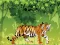 Permainan Angry Tiger Coloring secara online