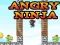 Permainan Angry Ninja secara online
