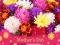 Permainan 2019 Mother's Day Puzzle secara online