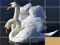 Permainan Animals Slide Puzzle secara online