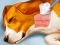 Permainan Dog Hospital secara online
