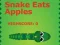 Permainan Snake Eats Apples secara online