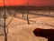 Permainan Wasteland Shooters secara online