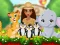 Permainan Moana Cute Zoo secara online