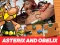 Permainan Asterix and Obelix Jigsaw Puzzle secara online