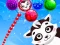 Permainan Raccoon Rescue secara online