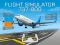 Permainan Flight Simulator 737-800 secara online