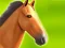 Permainan Horse Run 3D secara online