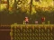 Permainan The Lost Forest secara online