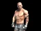 Permainan Fight Arena Online secara online