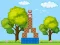 Permainan Box Challenge secara online