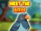 Permainan Meet The Birds secara online