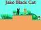 Permainan Jake Black Cat secara online