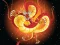 Permainan Chinese Dragons Coloring secara online