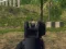Permainan Army Shooter secara online