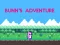 Permainan Bunn's Adventure secara online