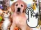 Permainan Pets Clicker secara online