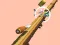 Permainan Spiral Rush secara online