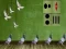 Permainan Pigeon Escape 2 secara online