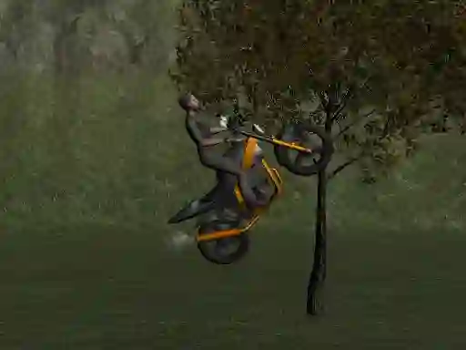 Permainan Mountain Bike Rider secara online
