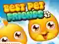 Permainan Best Pet Friends secara online