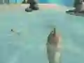 Permainan Shark Simulator Beach Killer secara online