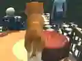 Permainan Dog Simulator: Puppy Craft secara online