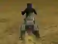 Permainan Real Moto Stunts Challenge secara online