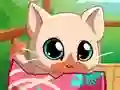 Permainan My Pocket Pets Kitty Cat secara online