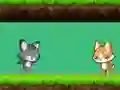 Permainan Cat vs Dog secara online
