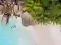 Permainan Seychelles Beach Jigsaw Puzzle secara online