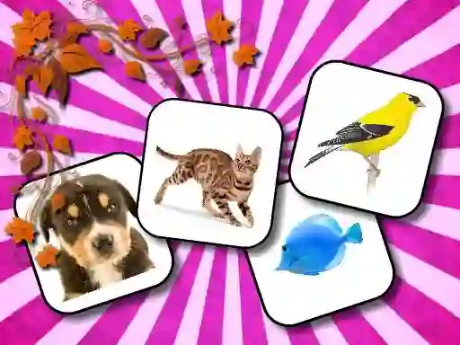 Permainan Animals Memory secara online