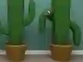 Permainan Cactus Cube secara online