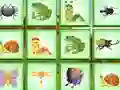 Permainan Find The Insect secara online