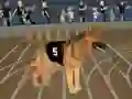 Permainan Crazy Dog Racing Fever secara online