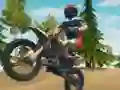 Permainan Dirt Bike Enduro Racing secara online