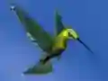 Permainan Hummingbird House Escape secara online