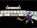 Permainan Capitaine Cage Hockey secara online