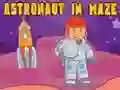 Permainan Astronaut in Maze secara online