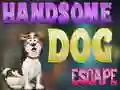 Permainan Handsome Dog Escape secara online