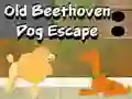 Permainan Old Beethoven Dog Escape secara online